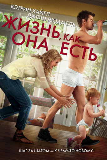 Жизнь, как она есть (2010) — постер