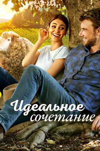 Идеальное сочетание (2022) — постер