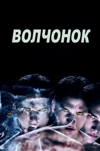 Волчонок (2011) — постер
