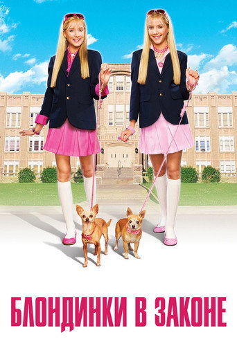 Блондинки в законе (2009) — постер