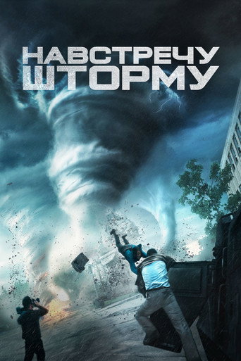 Навстречу шторму (2014) — постер