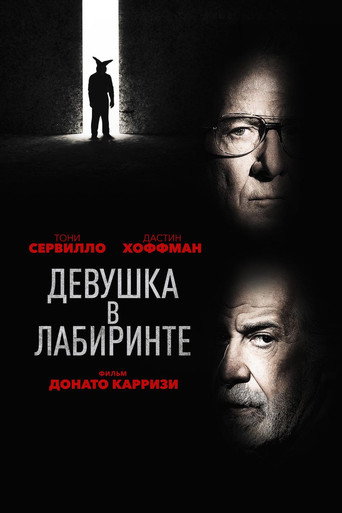 Девушка в лабиринте (2019) — постер