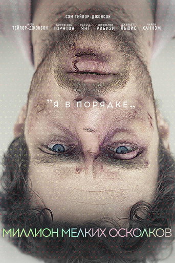 Миллион мелких осколков (2019) — постер