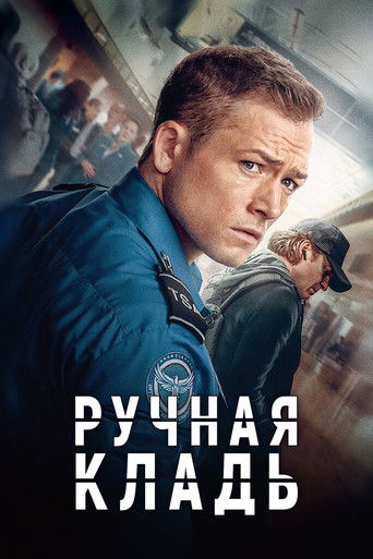 Ручная кладь (2024) — постер