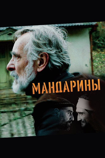 Мандарины (2013) — постер