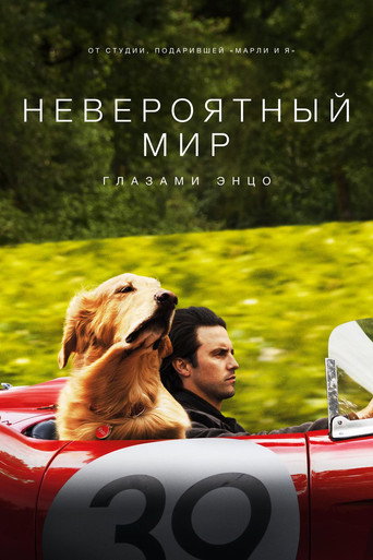 Невероятный мир глазами Энцо (2019) — постер