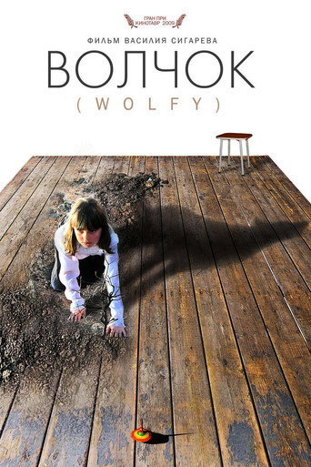 Волчок (2009) — постер