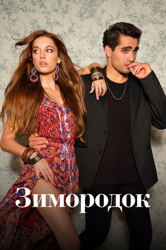 Зимородок (2022) — постер