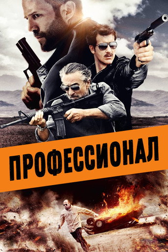 Профессионал (2011) — постер