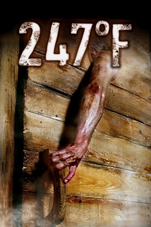 247 градусов по Фаренгейту (2011) — постер