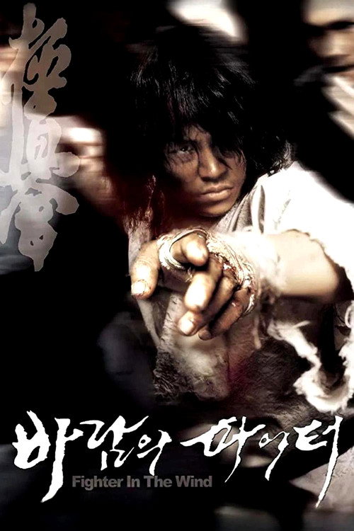 Воин ветра (2004) — постер