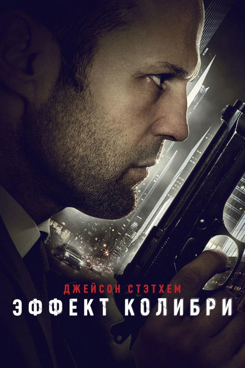 Эффект колибри (2013) — постер
