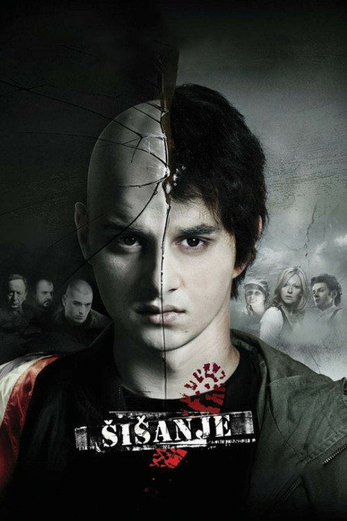 Стрижка (2010) — постер