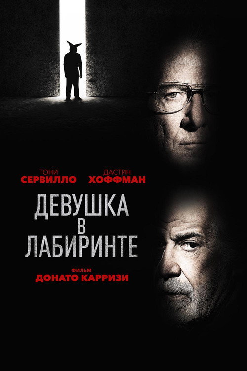 Девушка в лабиринте (2019) — постер