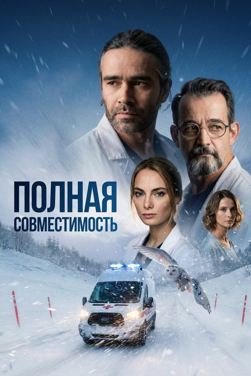 Полная совместимость (2026) — постер