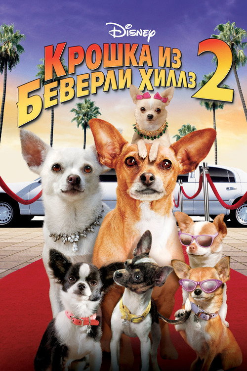 Крошка из Беверли-Хиллз 2 (2011) — постер