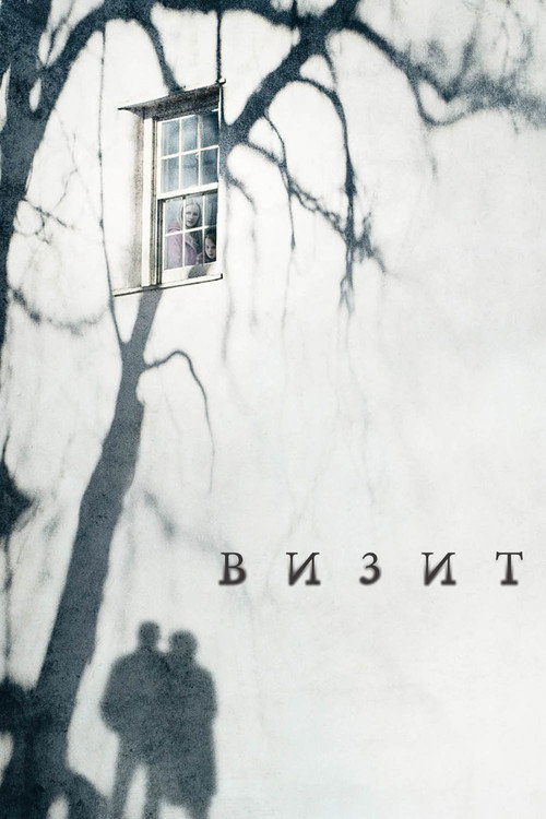 Визит (2015) — постер