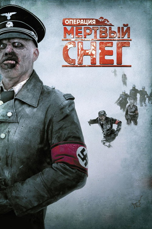 Операция «Мёртвый снег» (2009) — постер
