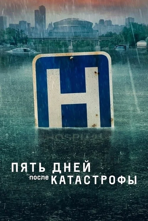 Пять дней после катастрофы (2022) — постер