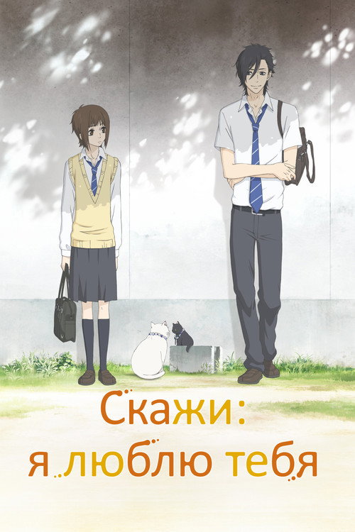 Скажи: я люблю тебя (2012) — постер