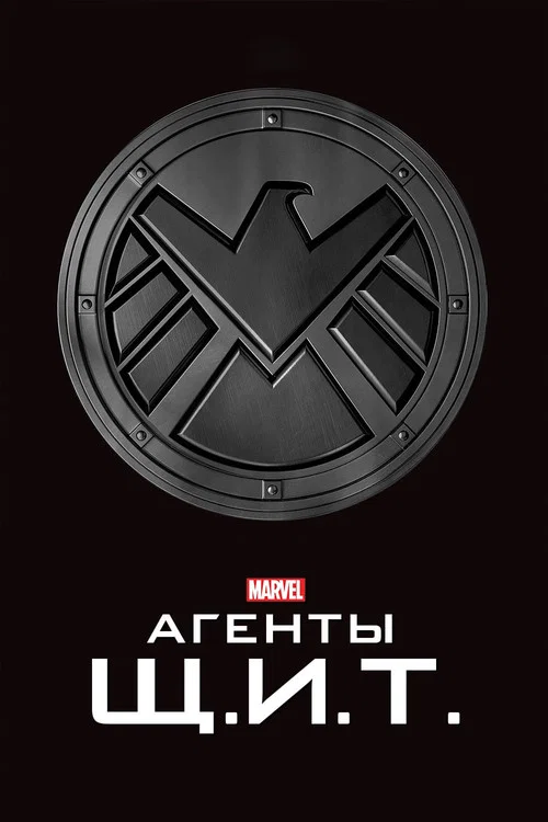 Агенты «Щ.И.Т.» (2013) — постер