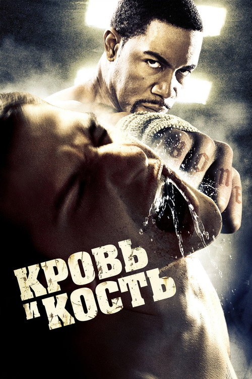 Кровь и кость (2009) — постер
