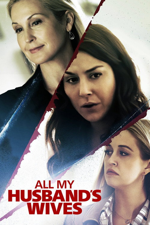 Все жены моего мужа (2019) — постер