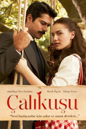 Королёк — птичка певчая (2013) — постер