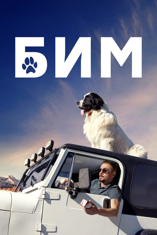 БиМ (2022) — постер