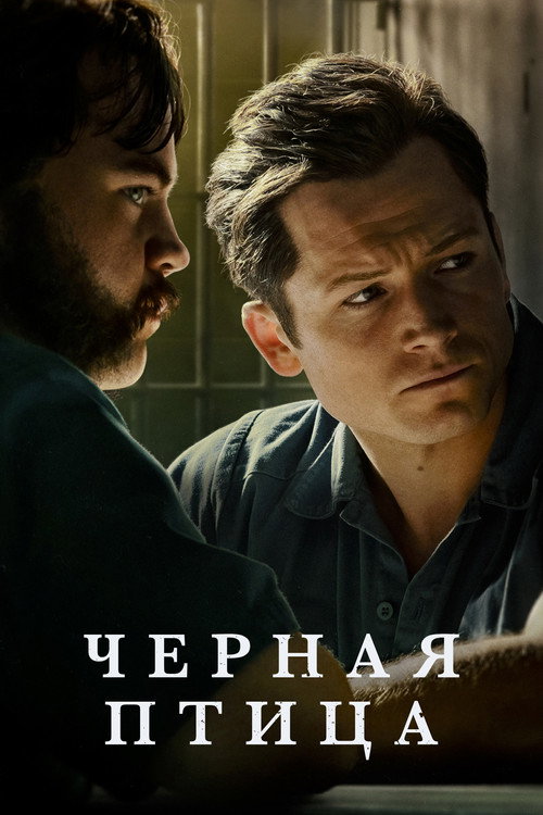 Черная птица (2022) — постер